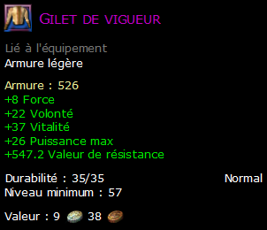 Gilet de vigueur