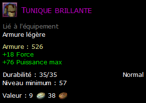 Tunique brillante