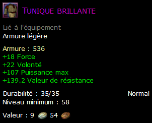 Tunique brillante