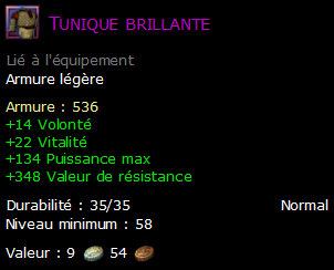 Tunique brillante