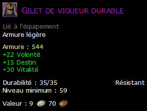 Gilet de vigueur durable