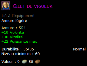 Gilet de vigueur