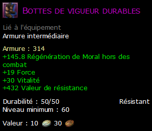 Bottes de vigueur durables