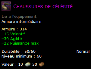 Chaussures de célérité