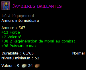 Jambières brillantes