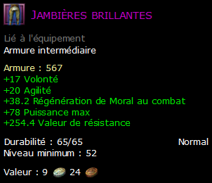 Jambières brillantes