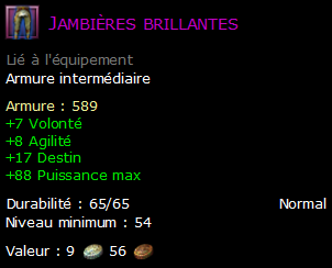 Jambières brillantes