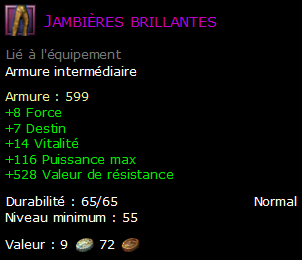 Jambières brillantes