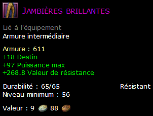 Jambières brillantes