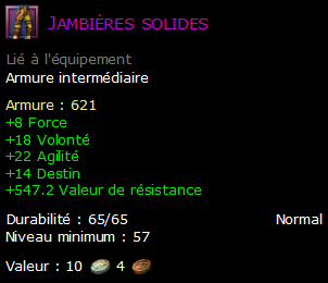 Jambières solides