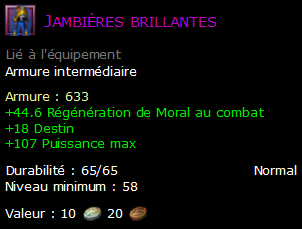 Jambières brillantes