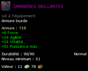 Jambières brillantes