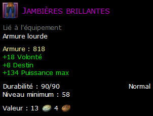 Jambières brillantes