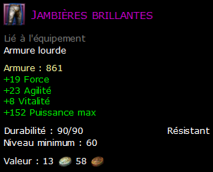 Jambières brillantes