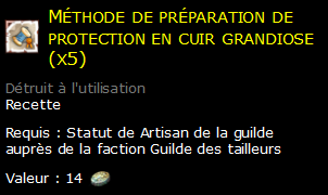 Méthode de préparation de protection en cuir grandiose (x5)