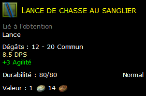 Lance de chasse au sanglier