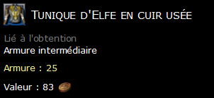 Tunique d'Elfe en cuir usée