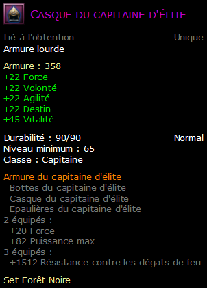 Casque du capitaine d'élite