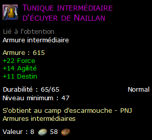 Tunique intermédiaire d'écuyer de Naillan