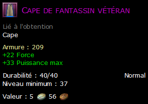 Cape de fantassin vétéran