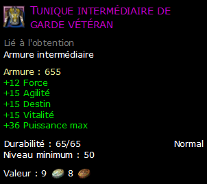 Tunique intermédiaire de garde vétéran