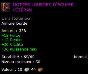 Bottes lourdes d'écuyer vétéran