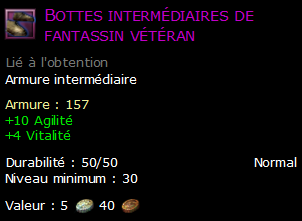 Bottes intermédiaires de fantassin vétéran