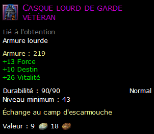 Casque lourd de garde vétéran