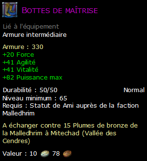 Bottes de maîtrise