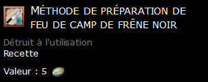 Méthode de préparation de feu de camp de frêne noir