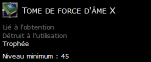 Tome de force d'âme X