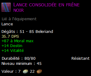 Lance consolidée en frêne noir