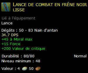 Lance de combat en frêne noir lisse