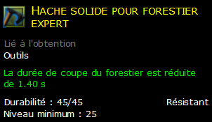 Hache solide pour forestier expert