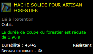 Hache solide pour artisan forestier