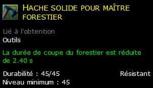 Hache solide pour maître forestier