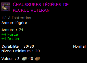 Chaussures légères de recrue vétéran