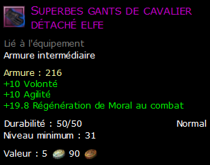 Superbes gants de cavalier détaché elfe