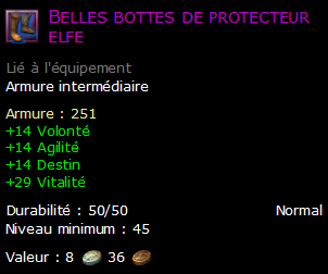 Belles bottes de protecteur elfe