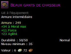 Beaux gants de chasseur