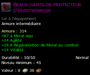 Beaux gants de protecteur d'Ouistrenesse