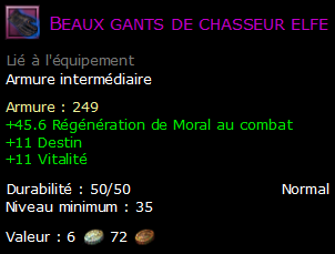 Beaux gants de chasseur elfe