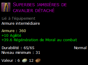 Superbes jambières de cavalier détaché