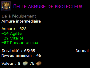 Belle armure de protecteur