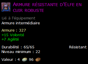 Armure résistante d'Elfe en cuir robuste