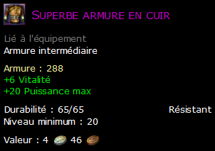 Superbe armure en cuir