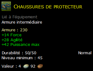 Chaussures de protecteur