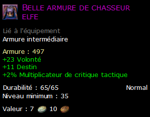 Belle armure de chasseur elfe