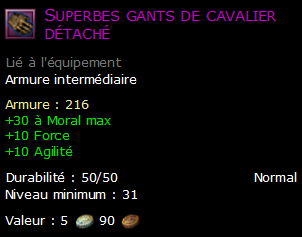 Superbes gants de cavalier détaché