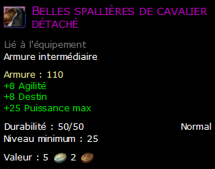 Belles spallières de cavalier détaché